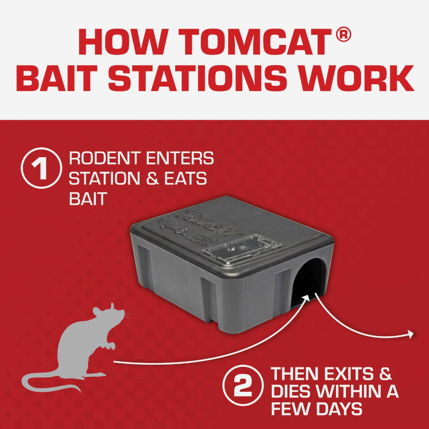 TOMCAT Refillable Bait Station Mouse Killer (4-Refill)